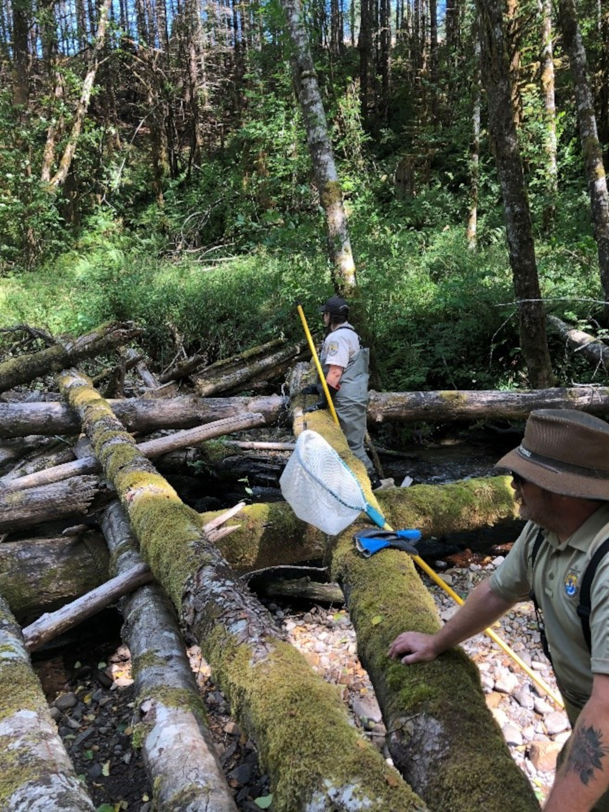 Habitat Restoration Jpg Fws Gov